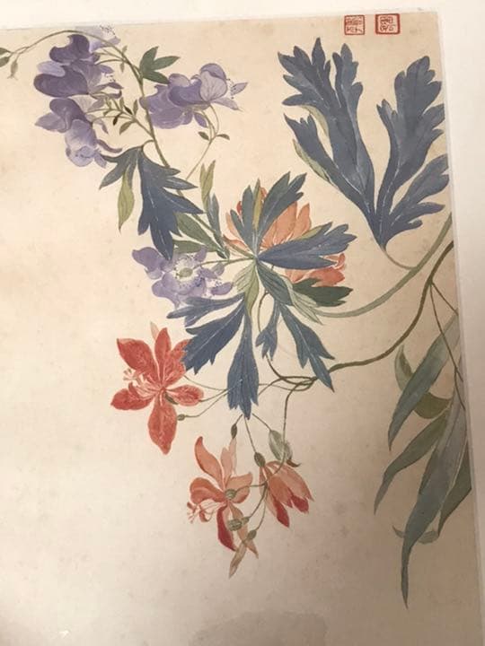 清　惲壽平　秋花圖　二玄社　原寸　鑑定品