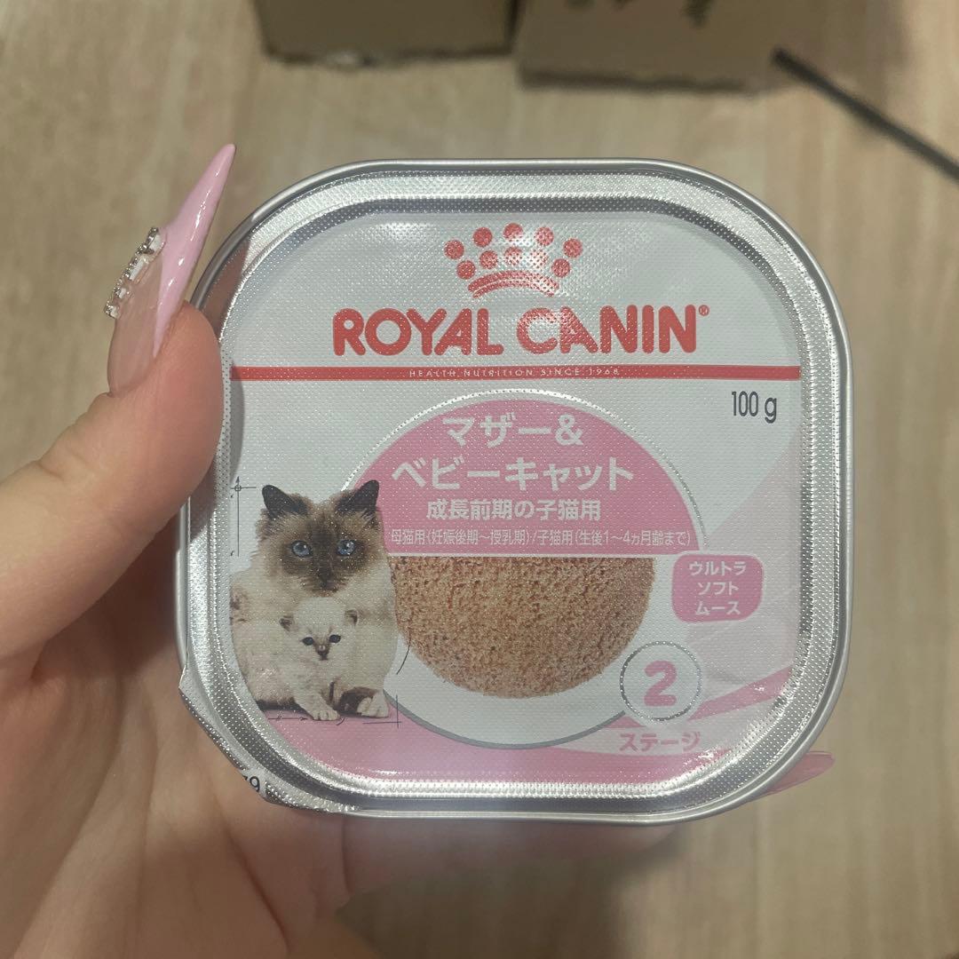 マザー＆ベビーキャット