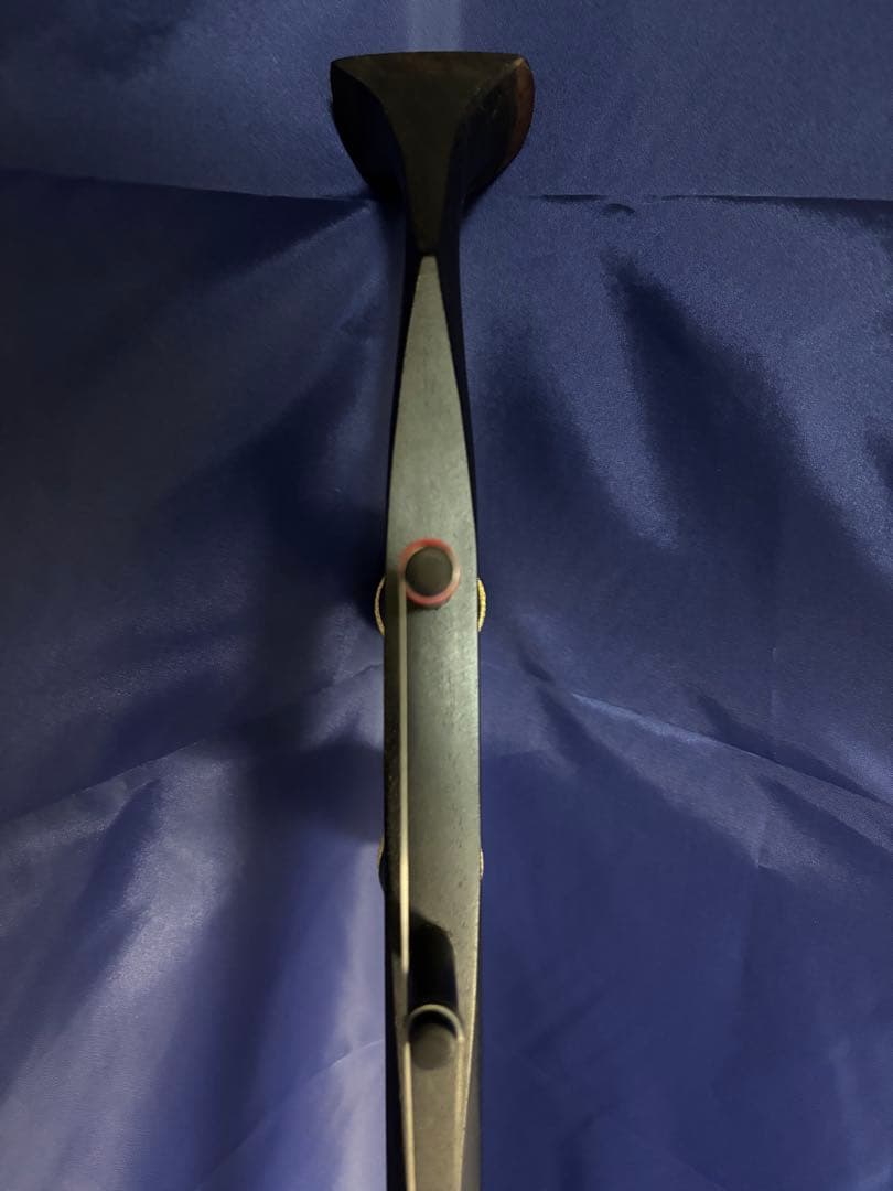 西野二胡　光舜堂（中上級者向け）