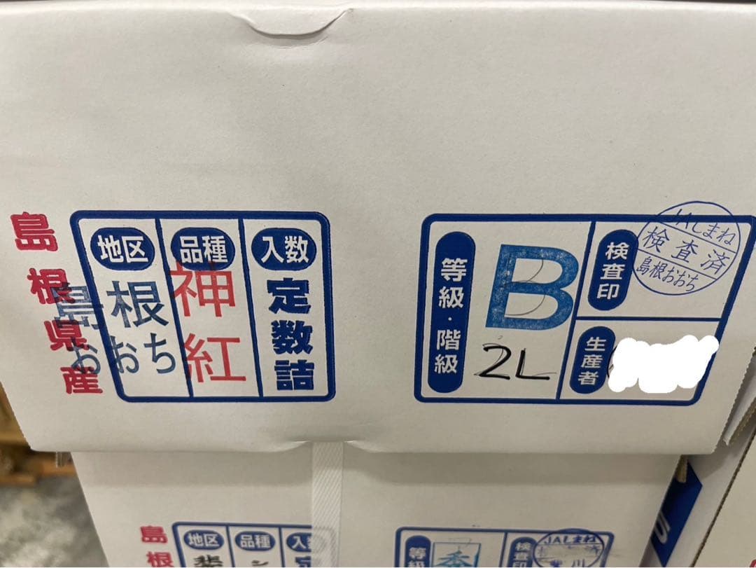 ③【島根県産】神紅(しんく)ぶどう約2キロ(3〜4房)