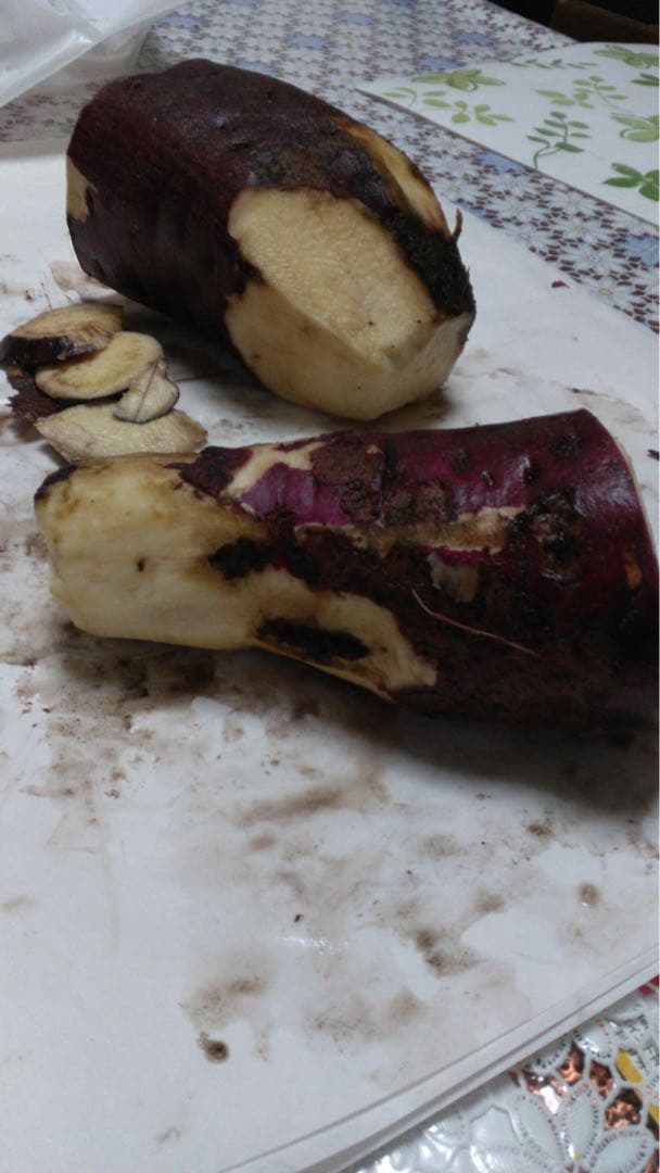 【専用】さつまいも