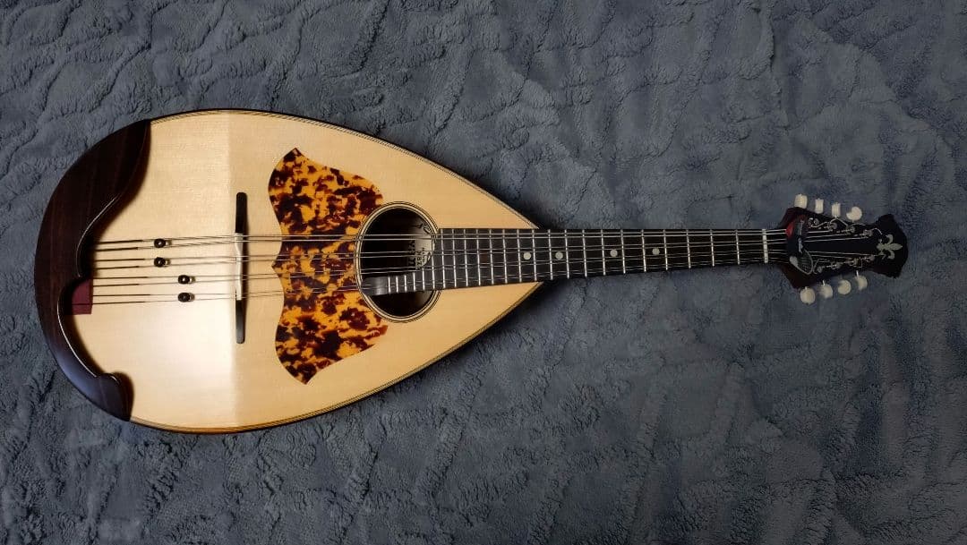 マンドラ本体 スプルースボディ 8弦