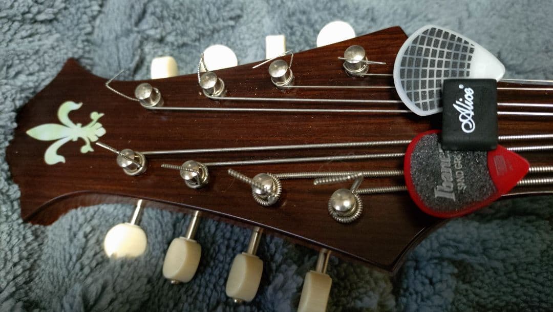 マンドラ本体 スプルースボディ 8弦