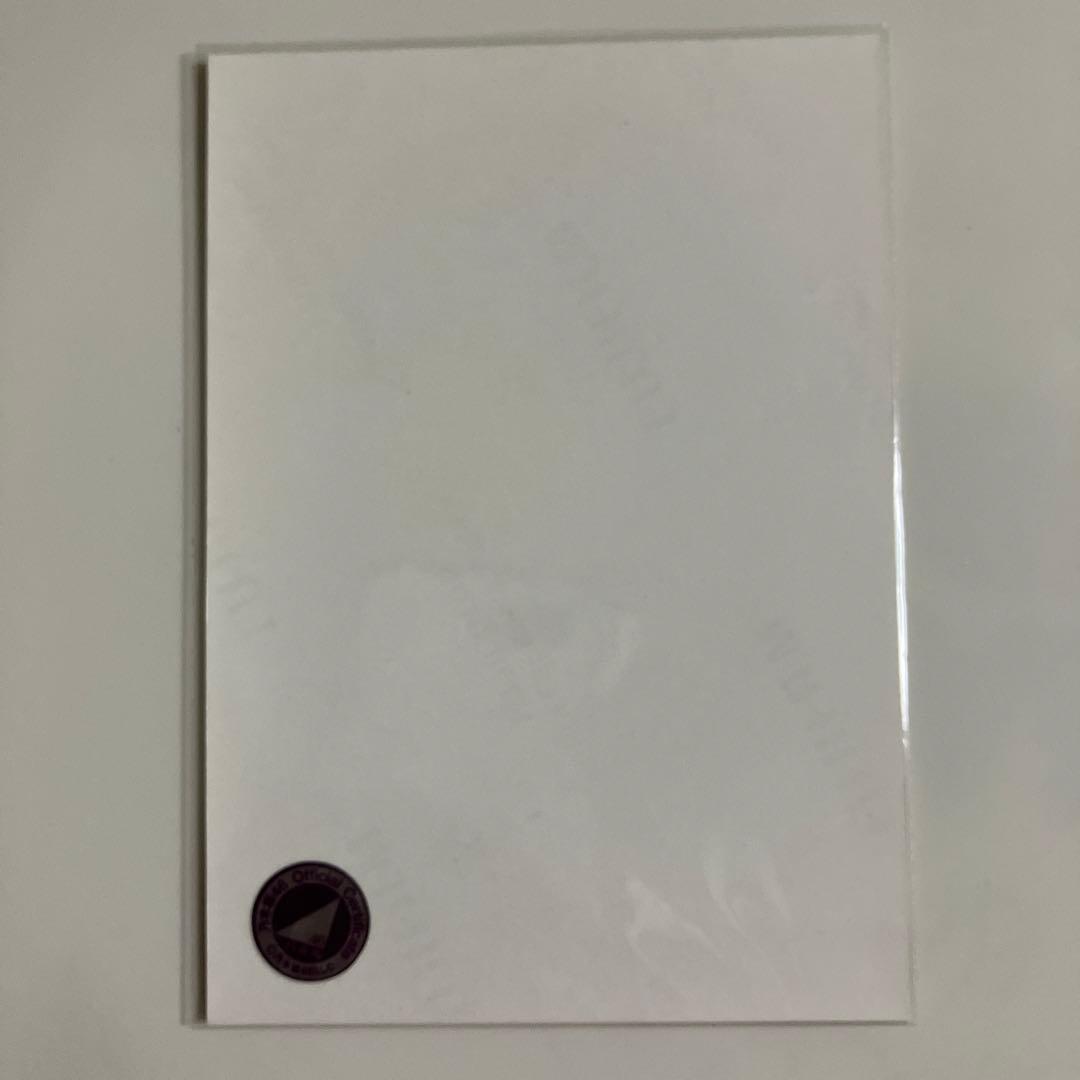 乃木坂46 生写真　生田絵梨花　スペシャル衣装10 直筆サイン