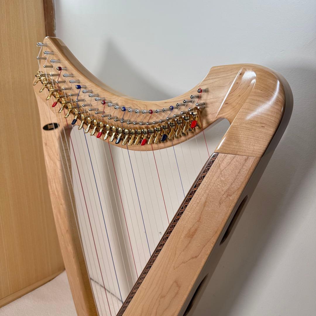 Aoyama 青山ハープ　サウルハープ　25S 専用ケース付き　25弦