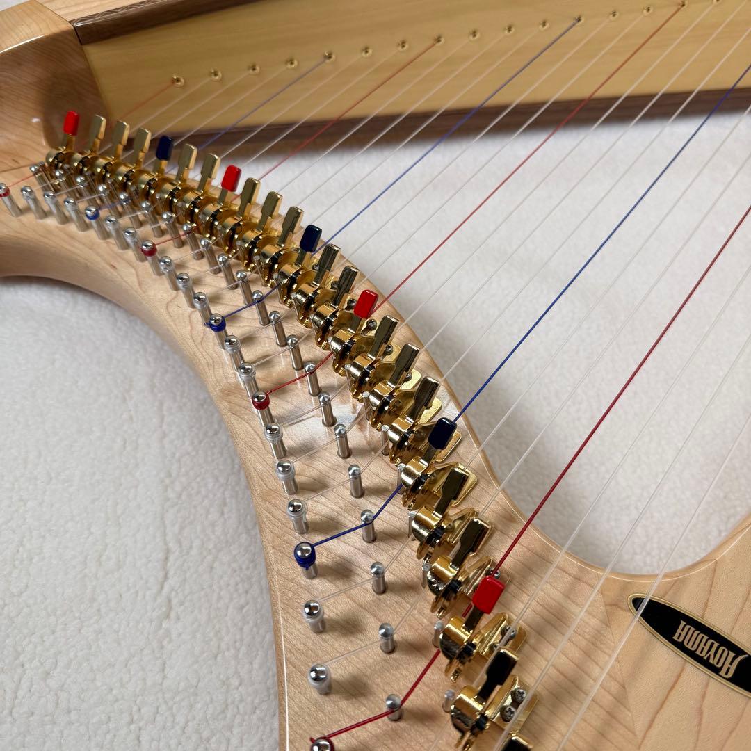 Aoyama 青山ハープ　サウルハープ　25S 専用ケース付き　25弦