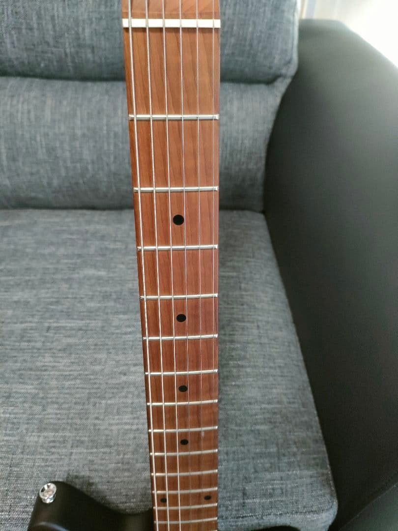 今年1月購入　試奏だけ　Bacchus　WINDY-BREAKER/RSM