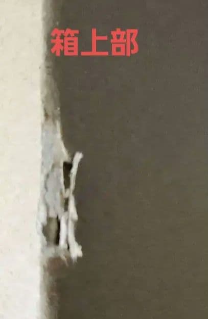 【値下げ中】【未使用未開封】ポケモン　ぬいぐるみ　等身大サーナイト