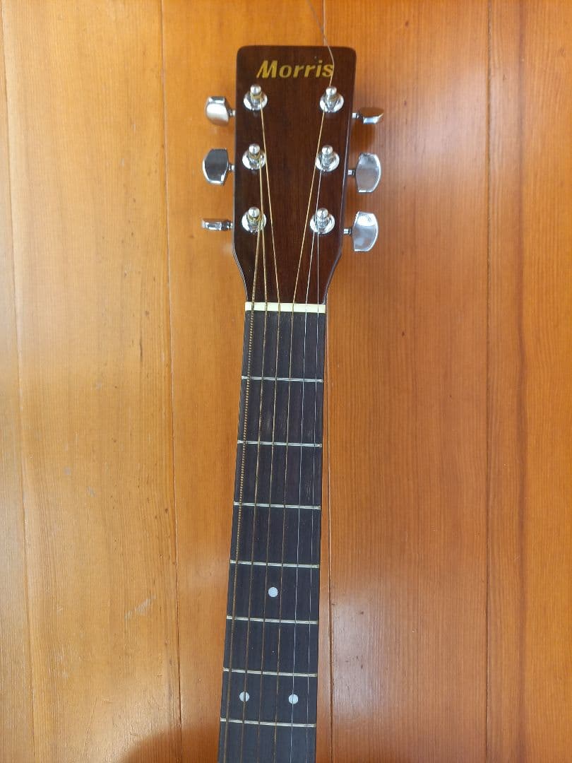 Morris アコースティックギター【MD502】