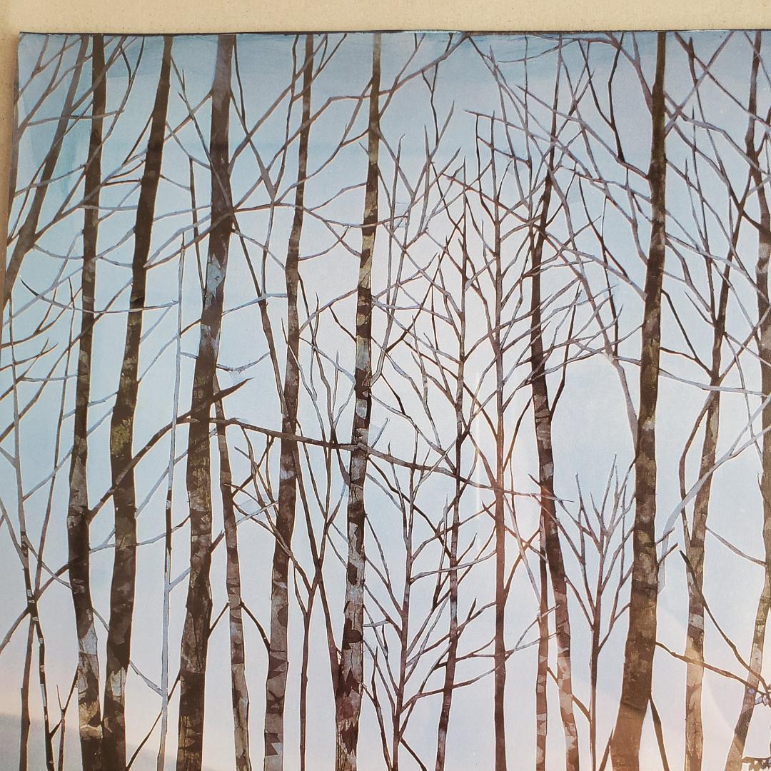 藤城清治 オフセットリト 湿原のミズバショウとこびと 額装 60 正方形 影絵