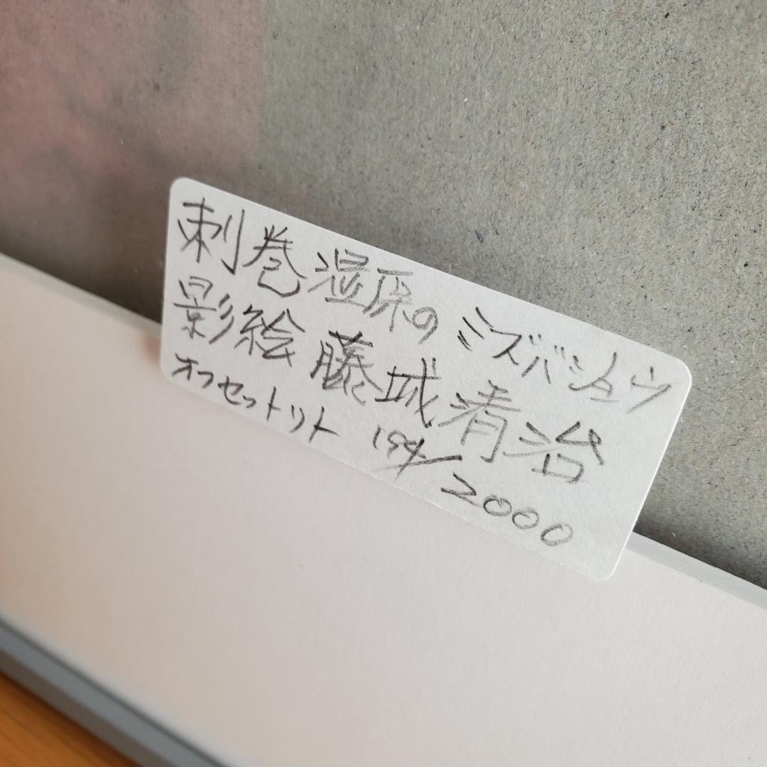 藤城清治 オフセットリト 湿原のミズバショウとこびと 額装 60 正方形 影絵