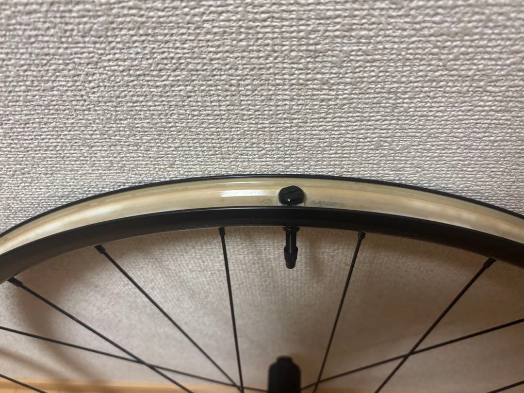 Bontrager Paradigm チューブレスレディ