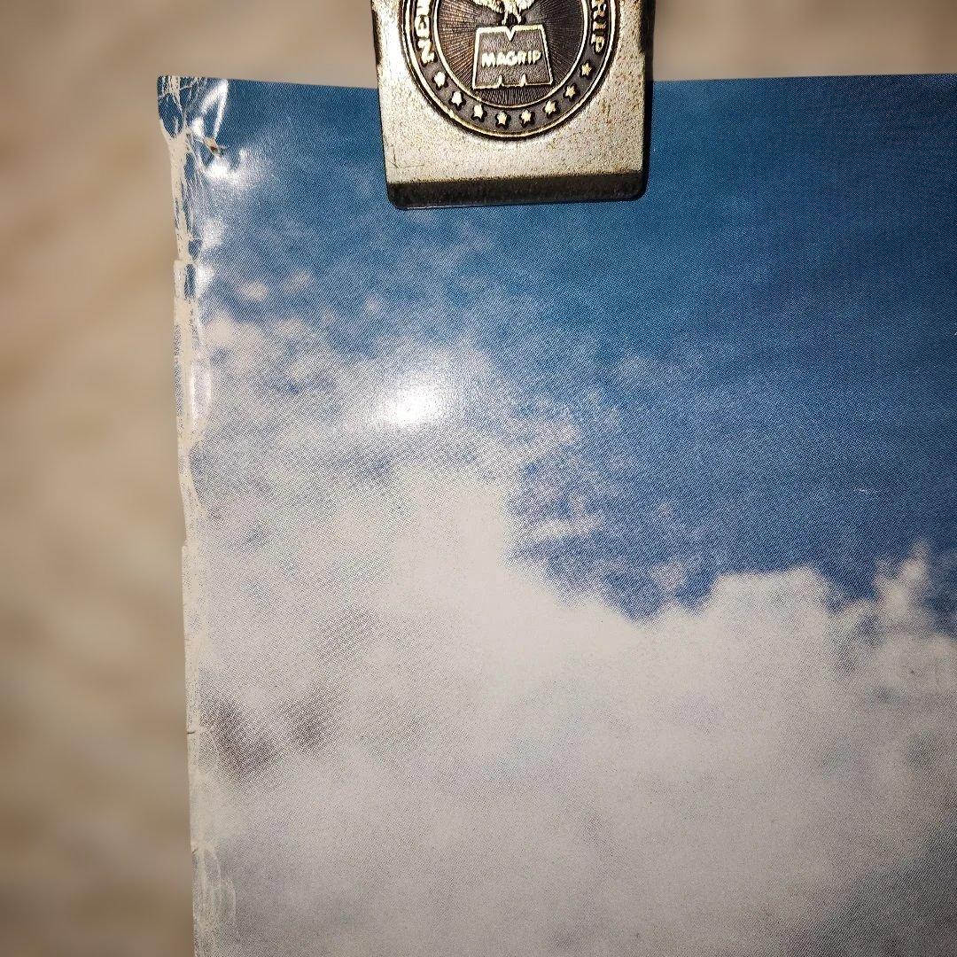 JAL ハワイ 日本航空 70s ビキニ サーフィン 企業ポスター 昭和レトロ