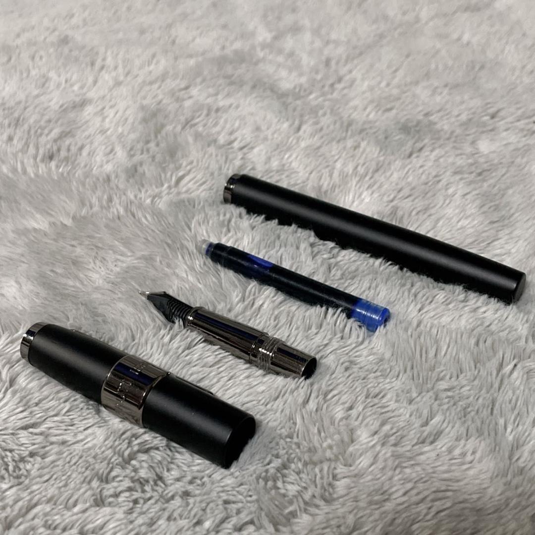 CERRUTI 1881 万年筆・ボールペン セット セルッティ チェルッティ