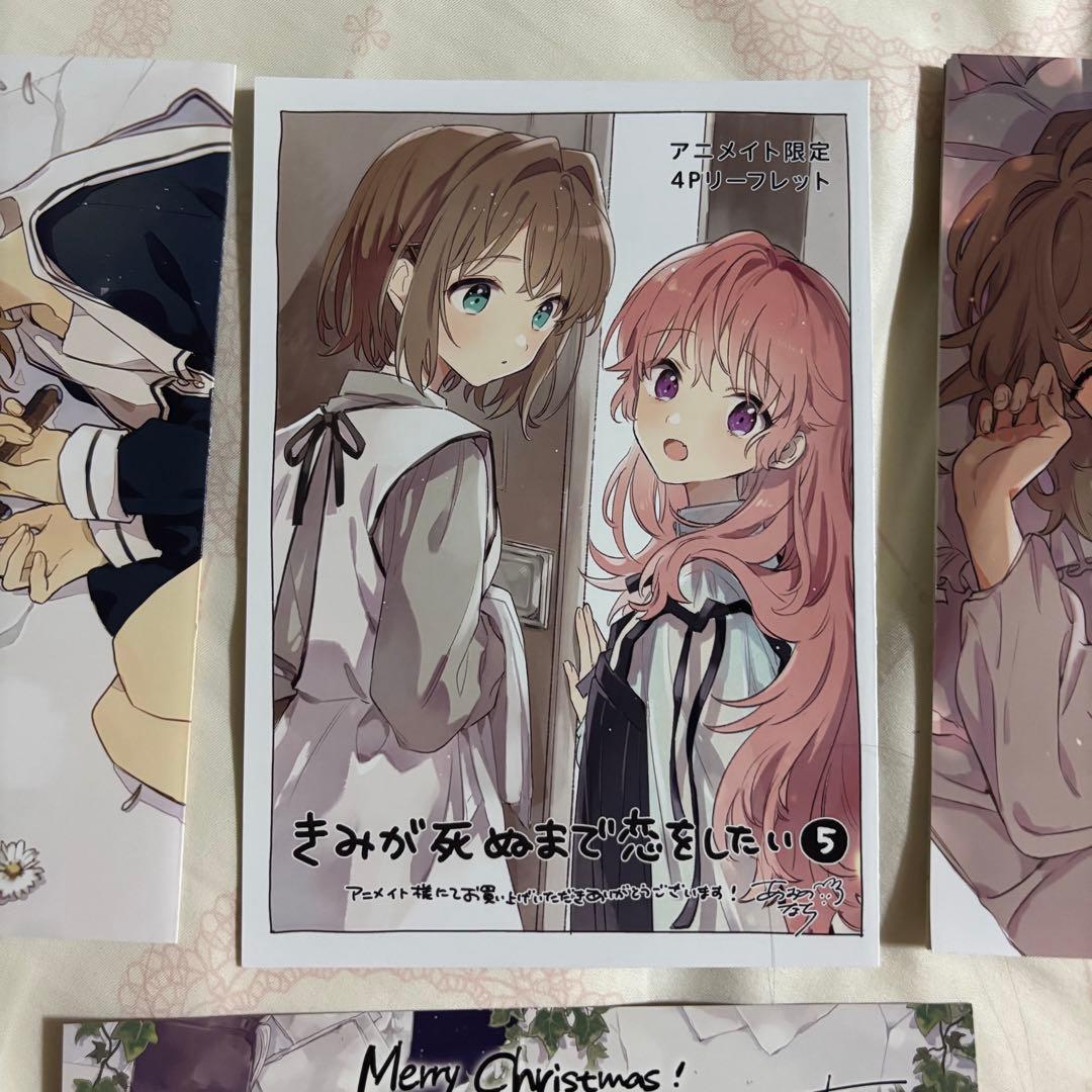 きみが死ぬまで恋をしたい　アニメイト　特典　特装版小冊子　クリスマスカード