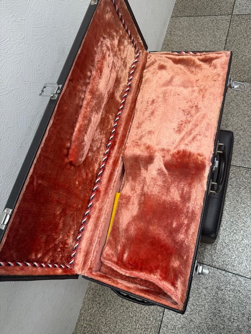 マンドリン カラーチェ ヴィンテージ1976年製造 本体 ケース付 希少 状態良