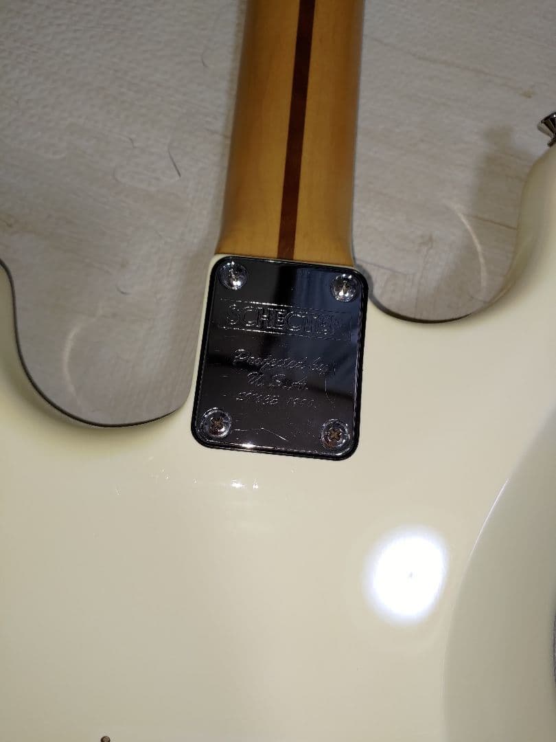 シェクター　ギター　　希少1本のみ