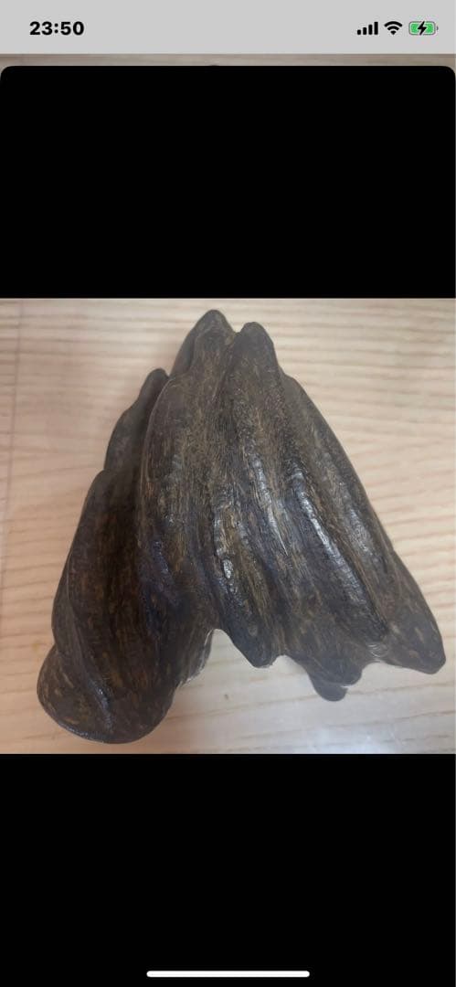 香木、约240克、g