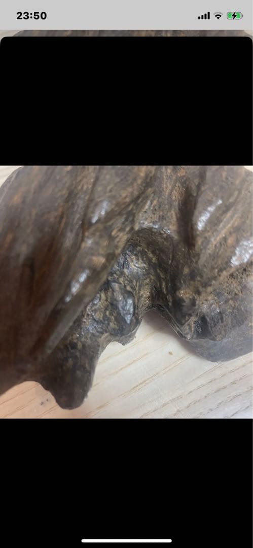 香木、约240克、g