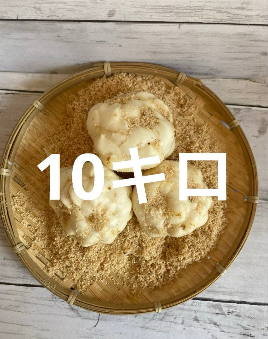 北海道十勝産 規格外ゆり根 10キロ