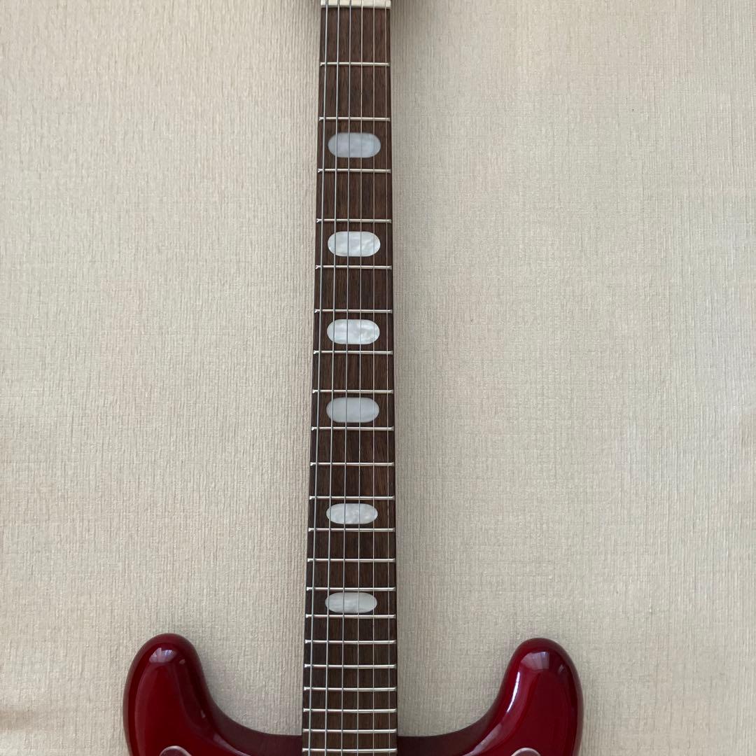 Epiphone Crestwood Custom　基本新品 ソフトケース付