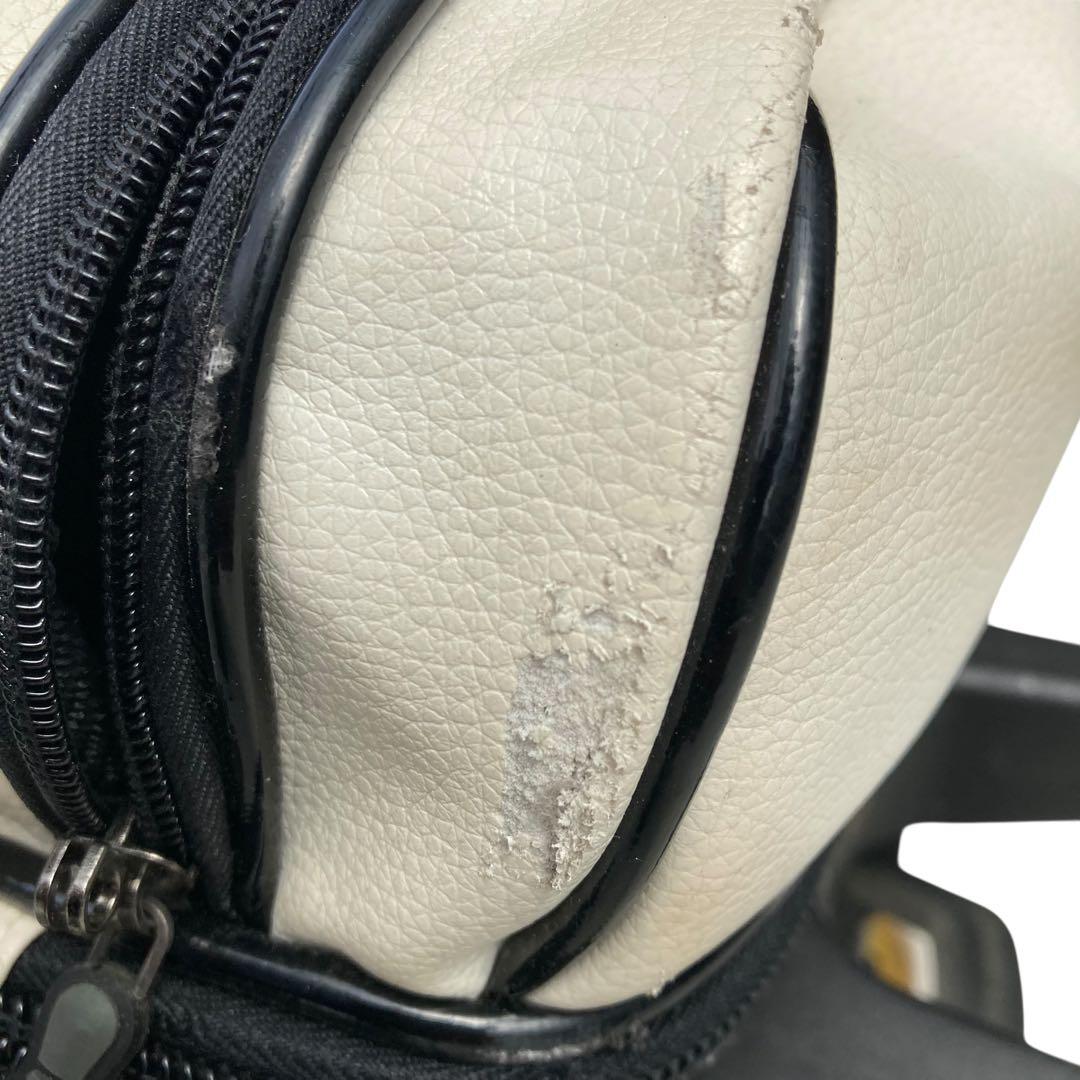 レア　Doggy 犬　わんちゃん　ボウリング用バッグ ABS PRO-am 白色