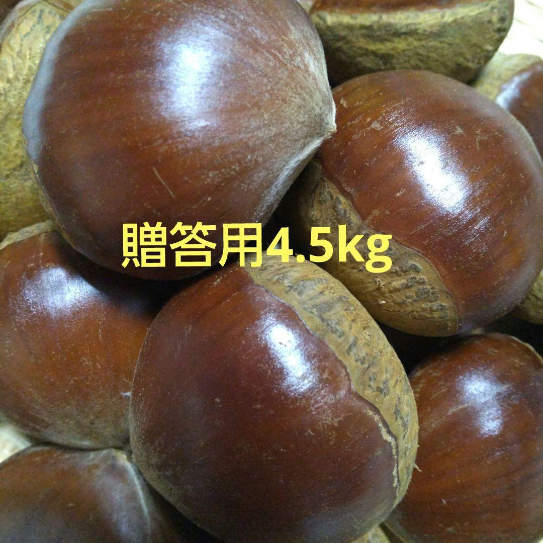 贈答用★茨城県産岸根栗4.5kg 大粒L～4L混合★温湯殺虫済み