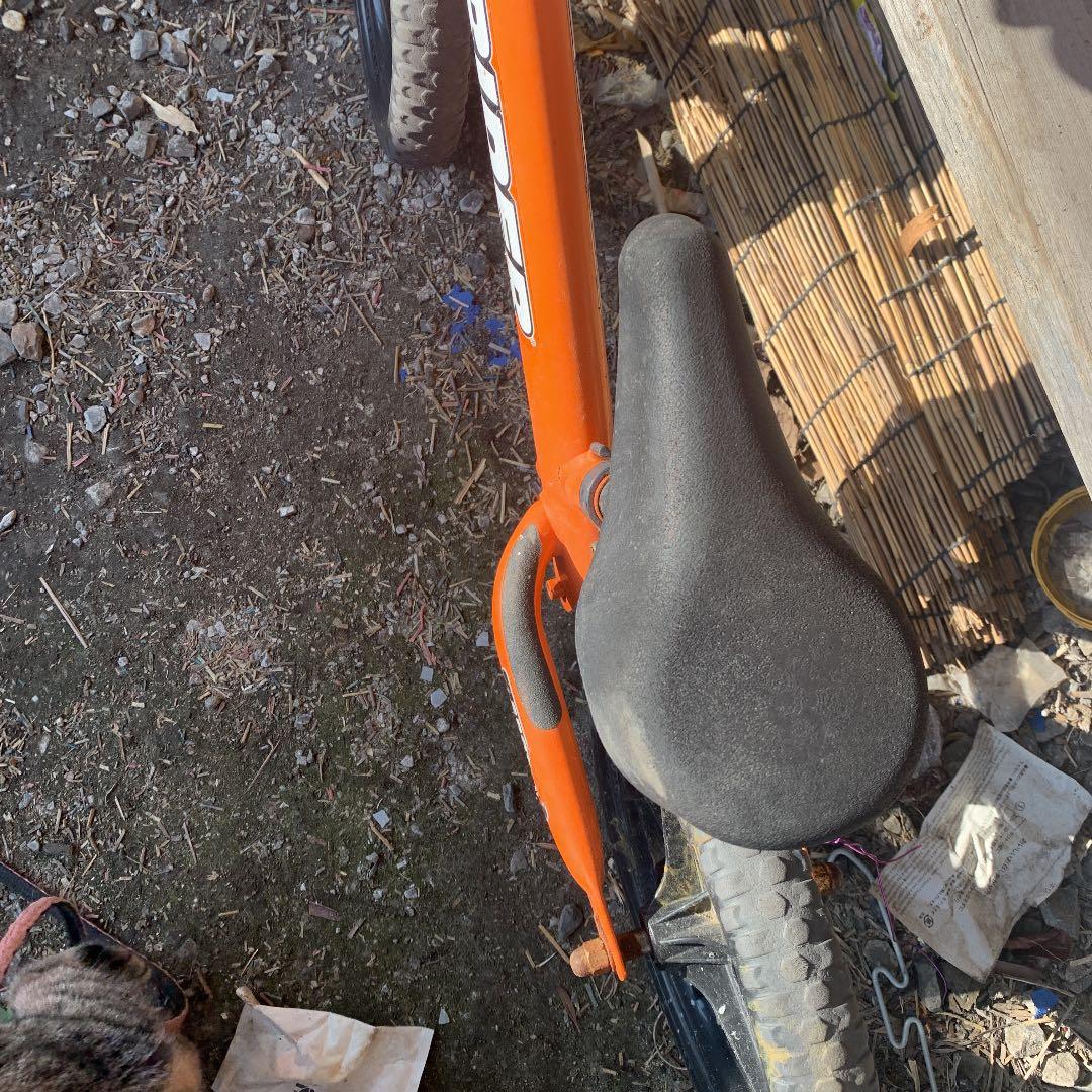 ストライダースポーツ