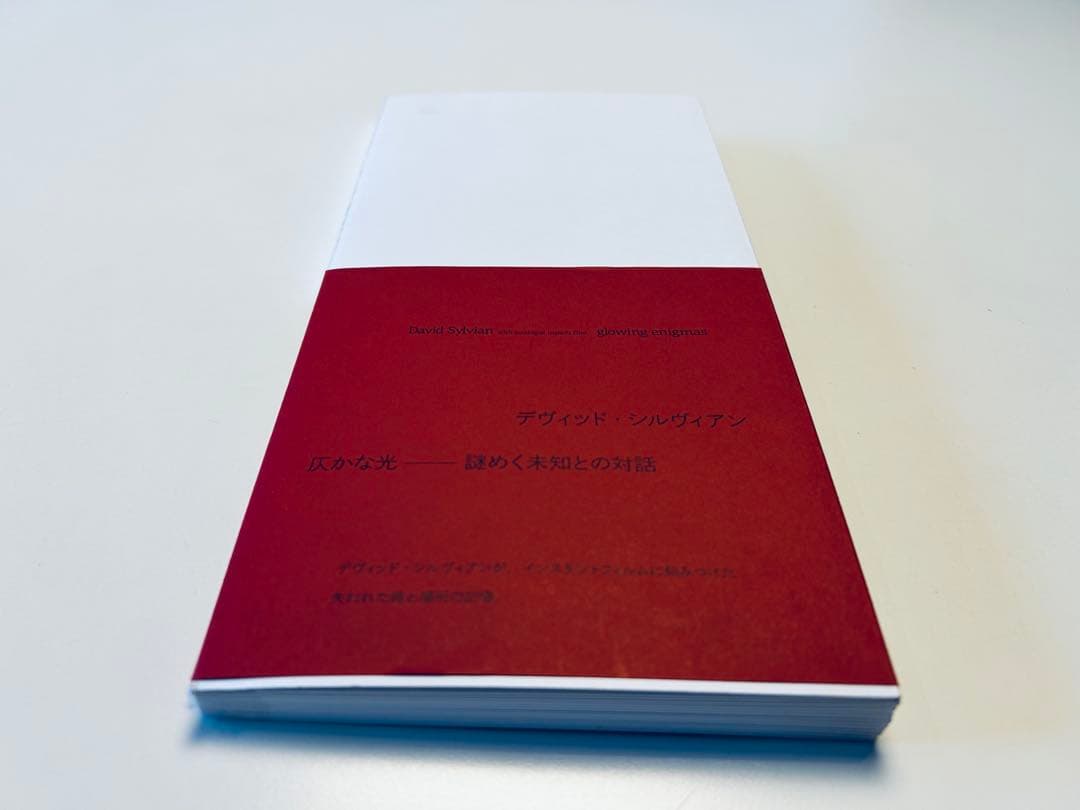 デヴィッド・シルヴィアン　ポラロイド写真集