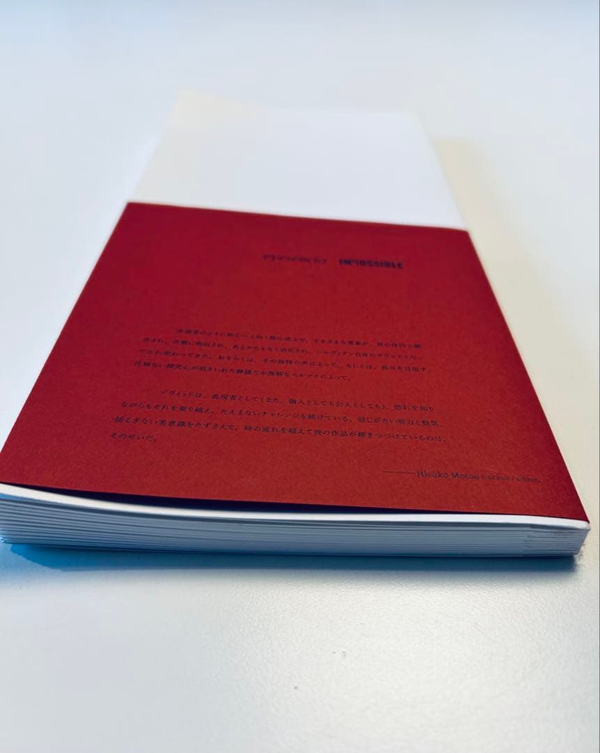 デヴィッド・シルヴィアン　ポラロイド写真集