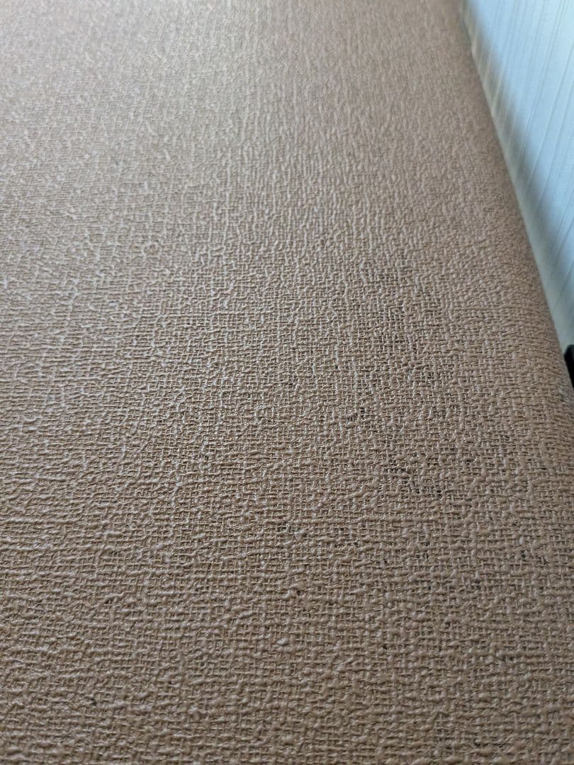 Fender Mexico Jazzmaster　ハードカバー