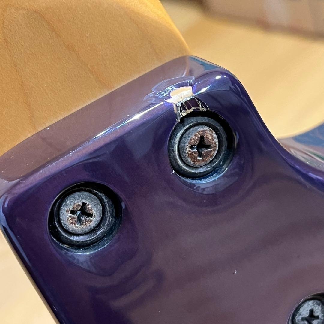 m*n様 Chatting Bird by Caparison ディンキータイプ