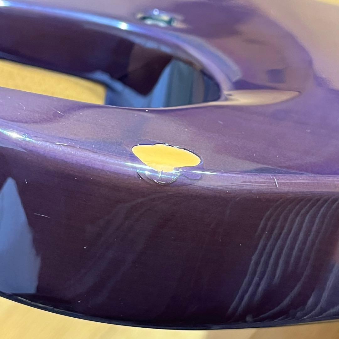 m*n様 Chatting Bird by Caparison ディンキータイプ