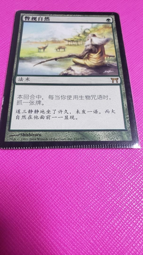 MTG 垣間見る自然 中国語 クリンプド エラーカード