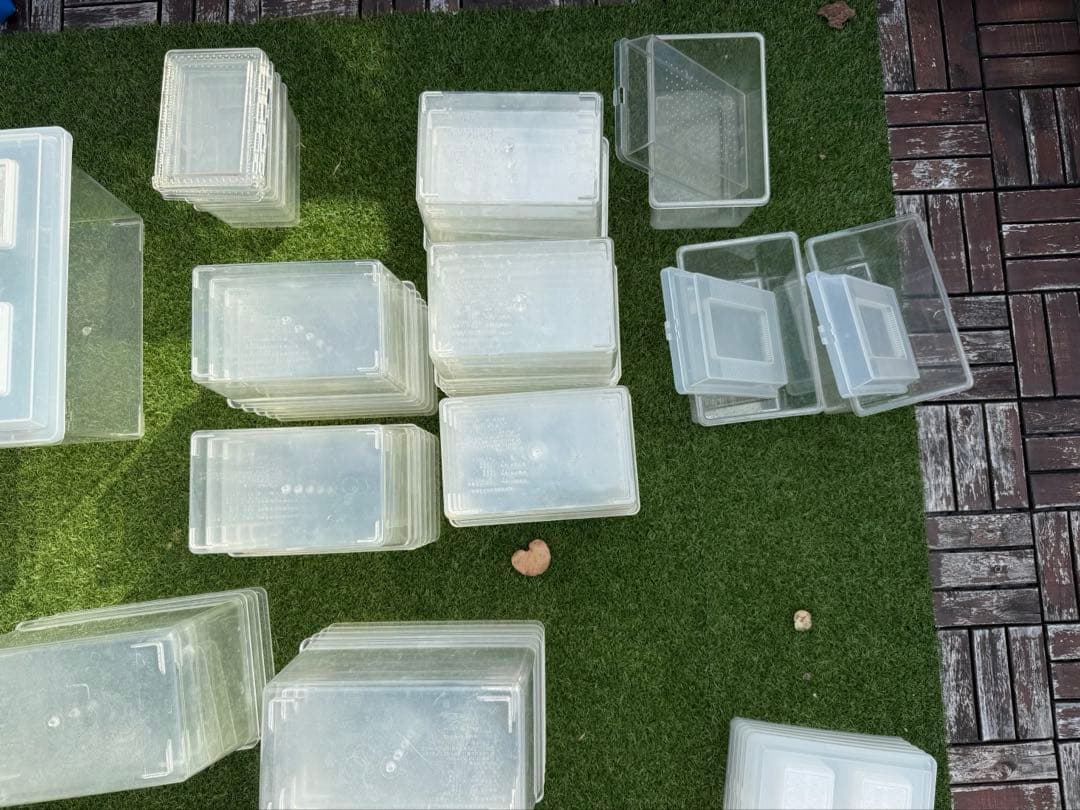 コバエシャッター　クリアスライダー　まとめ売り