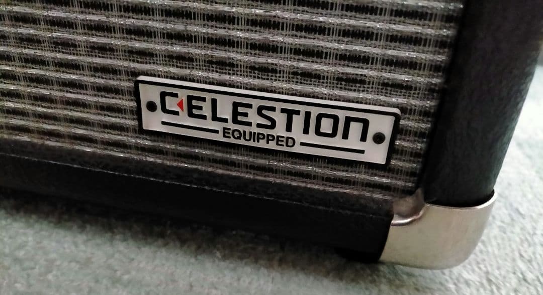 ベース Fender Bassman BM20CE