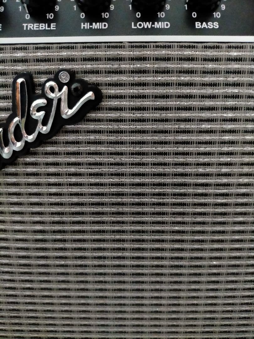 ベース Fender Bassman BM20CE