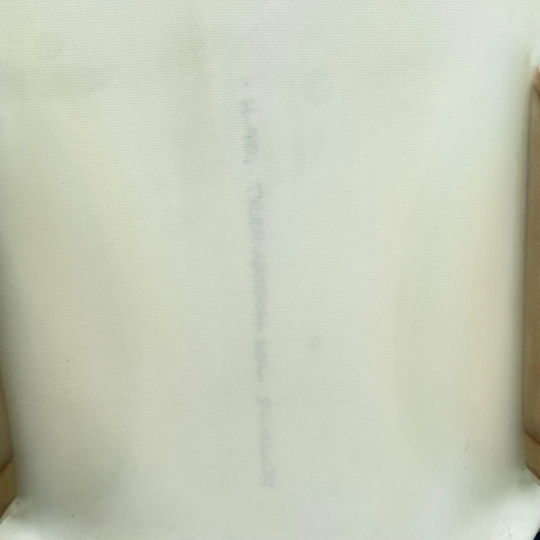 TYLER WARREN Bar of Soap タイラーウォーレン 5’3”