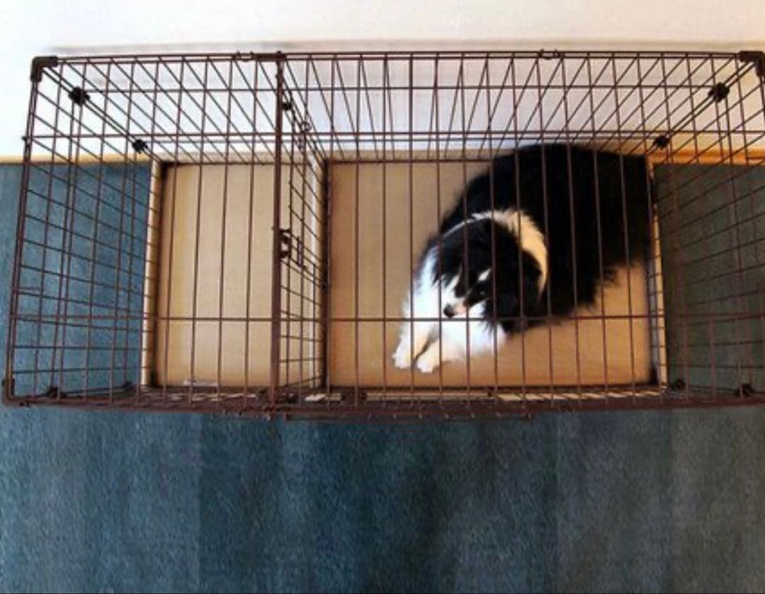 ❤︎THANK❤︎ ペティオレギュラー屋根付きツールームサークル