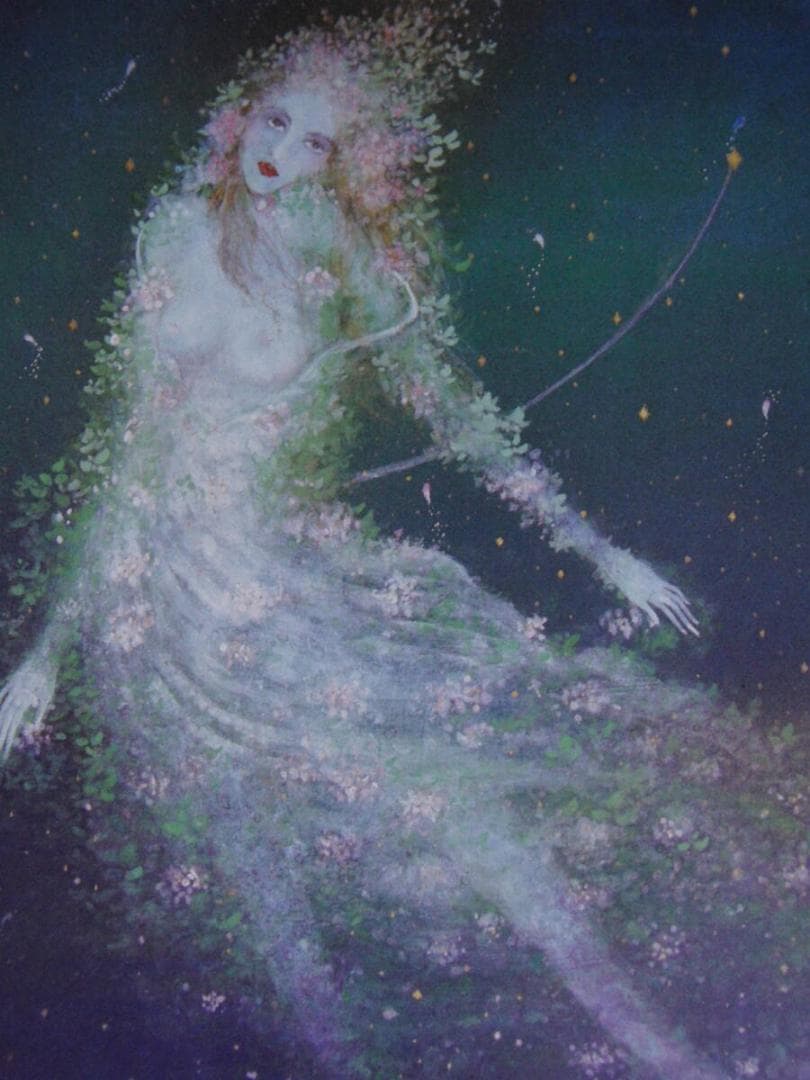 石踊達哉、【流星】、希少な額装用画集より、厳選、新品額装、マット額装付