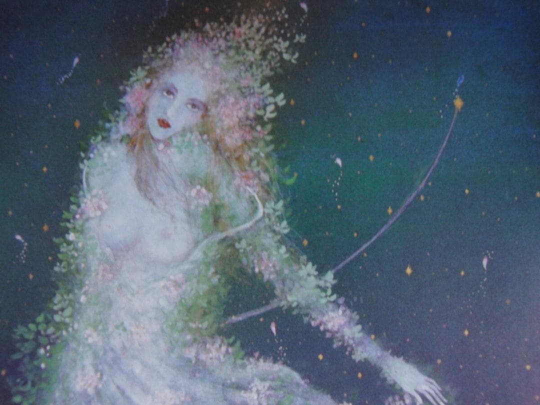 石踊達哉、【流星】、希少な額装用画集より、厳選、新品額装、マット額装付