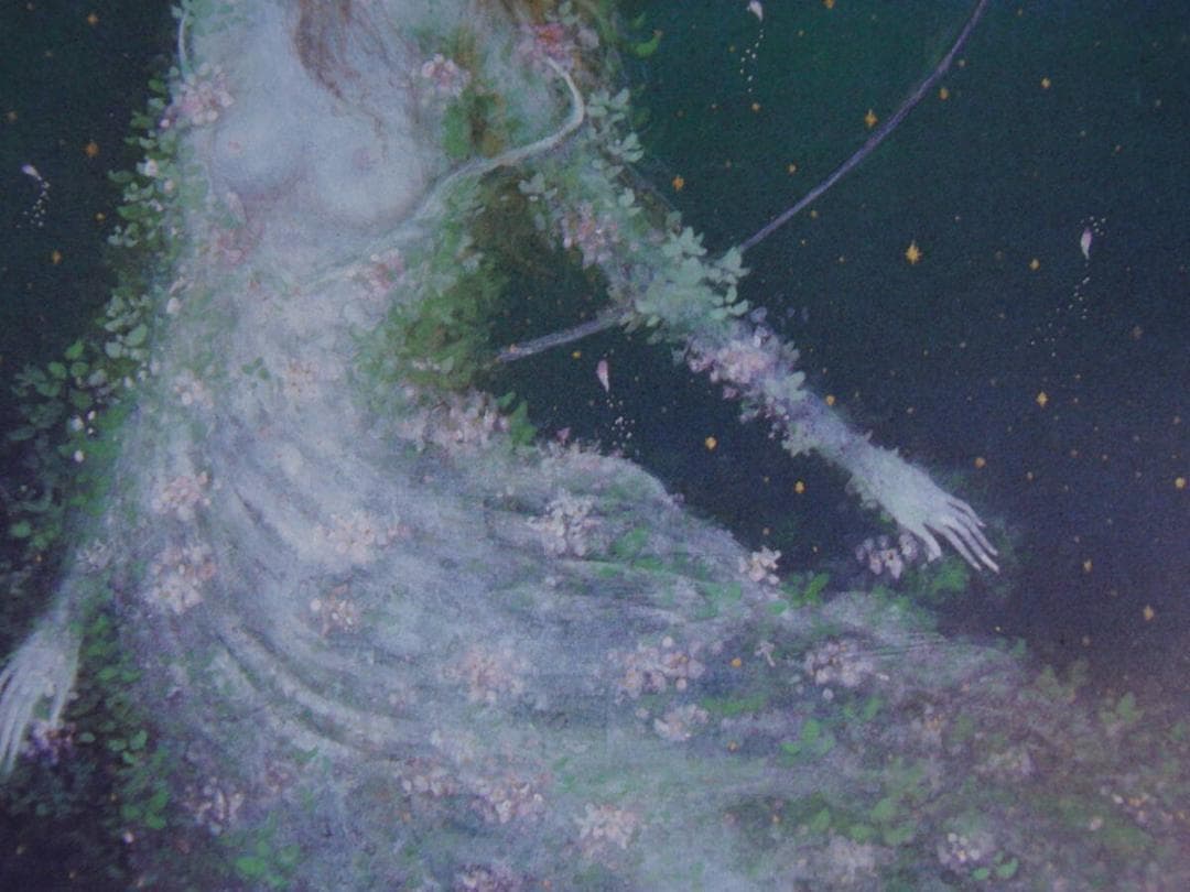 石踊達哉、【流星】、希少な額装用画集より、厳選、新品額装、マット額装付