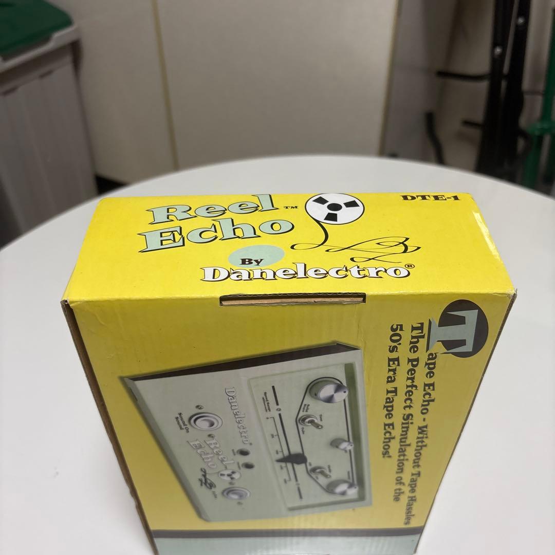 ギター Danelectro Real Echo
