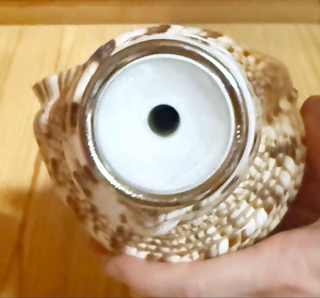 コンパクト修験道法螺貝　山伏　密教　魔除け　熊よけ❣️ホラガイ　ほら貝