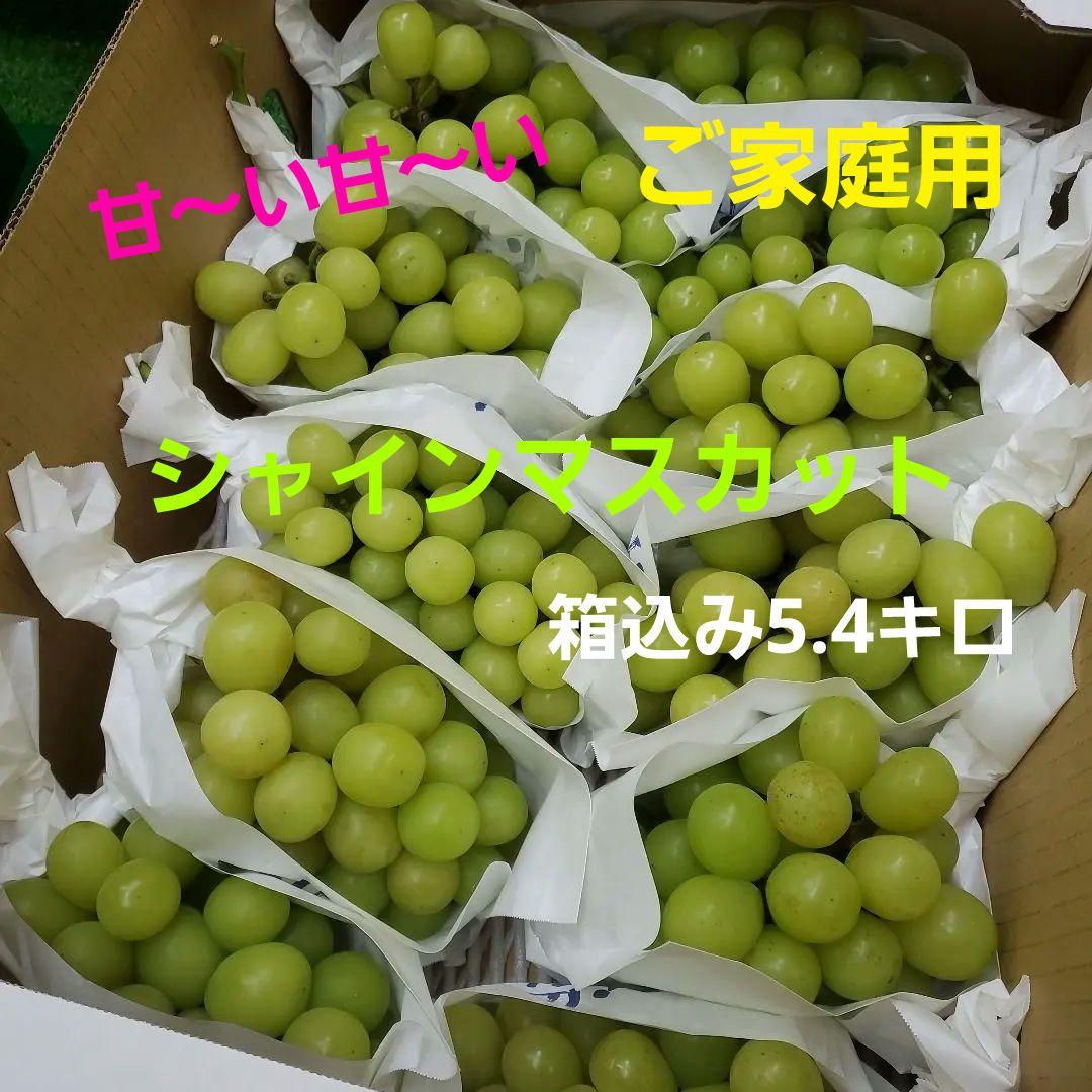 1⃣ 山梨県産 シャインマスカット １1房入り 箱込み5.4キロ