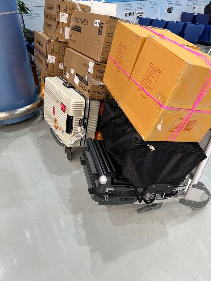 THE MONSTERS ANGELINCLOUDS ラブブ Labubu