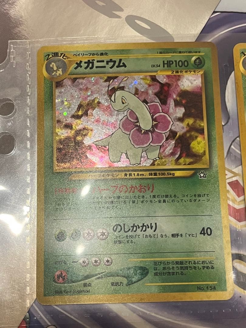 ポケモンカードneo プレミアムファイル 金・銀