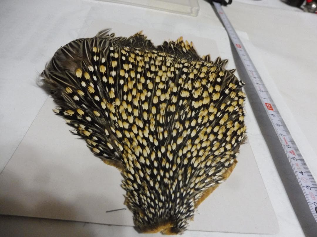 ジャングルコックのケープ　フライタイイング