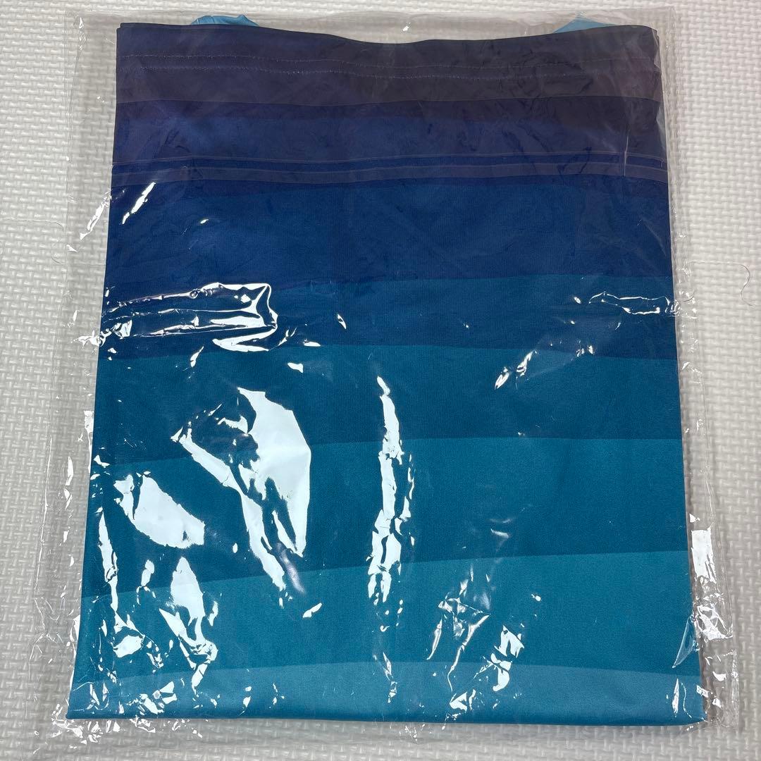 2025 IRONMAN JAPAN みなみ北海道 TシャツM メダル７点セット