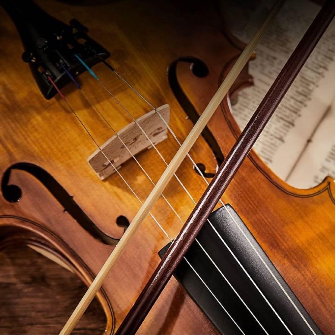 バイオリン　初心者セット　4/4サイズ